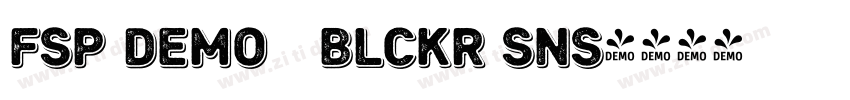 FSP DEMO   Blckr Sns字体转换